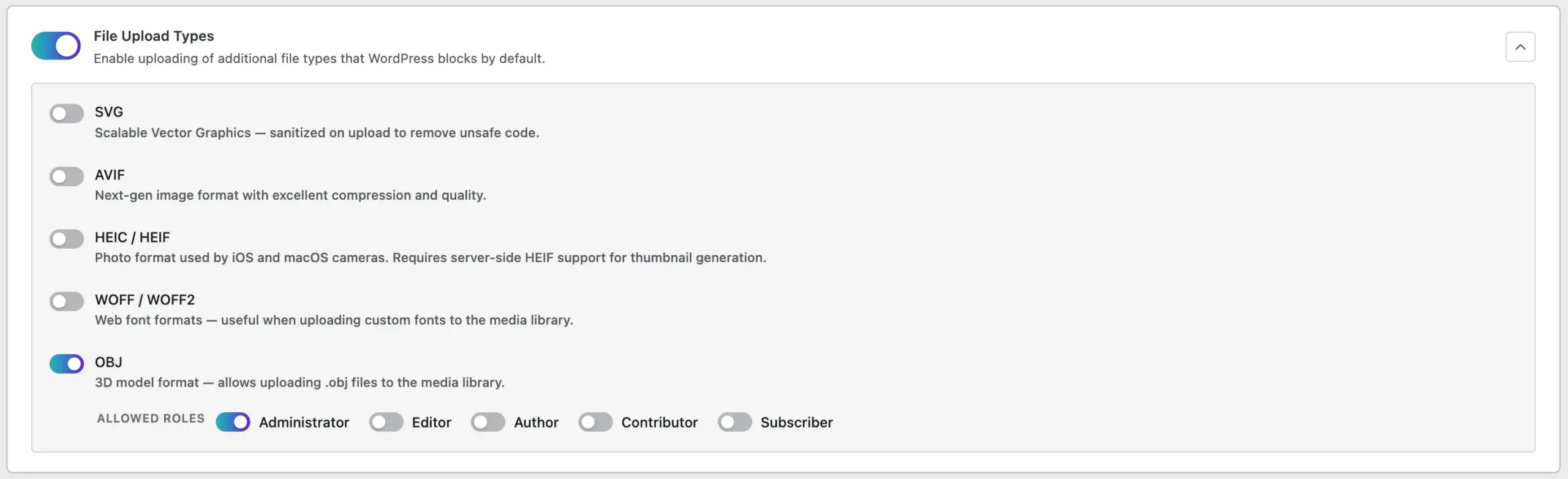 WordPress file upload types settings panel in TheOneWP showing SVG, AVIF, HEIC, WOFF, and OBJ options